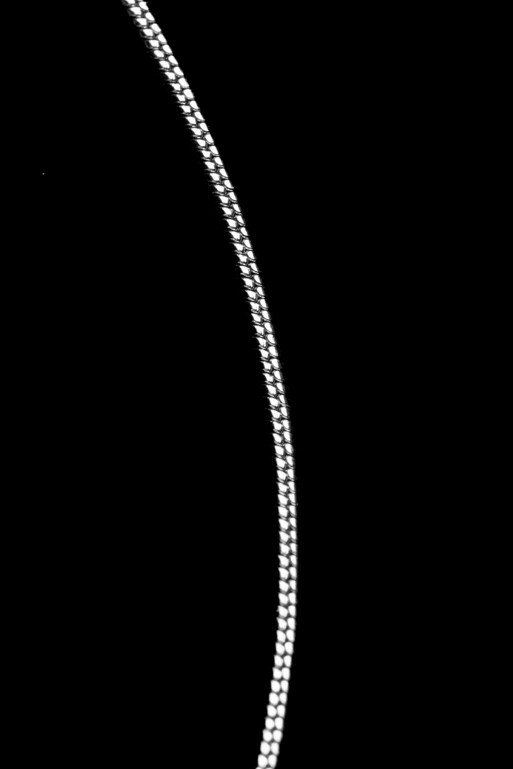 Cadena Plateada Snake
