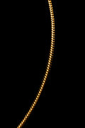 Cadena Dorada Snake