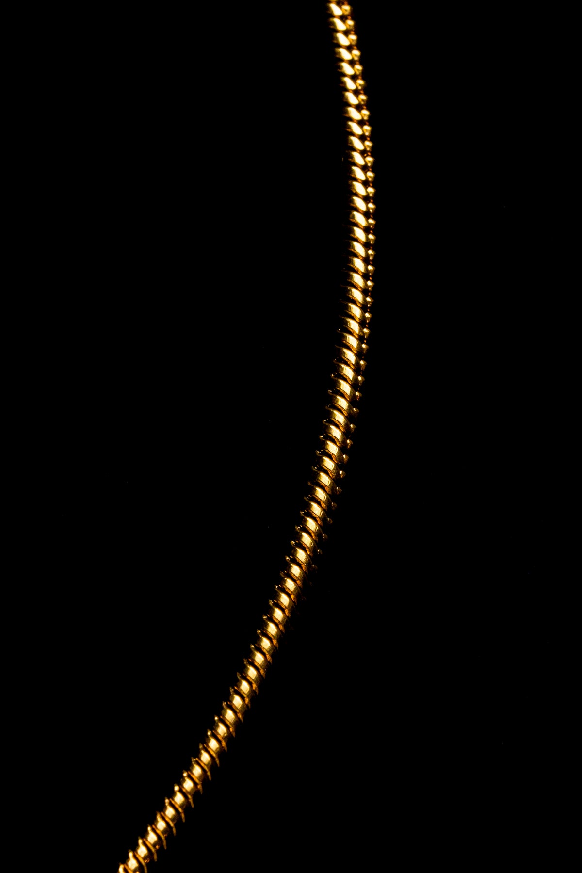 Cadena Dorada Snake