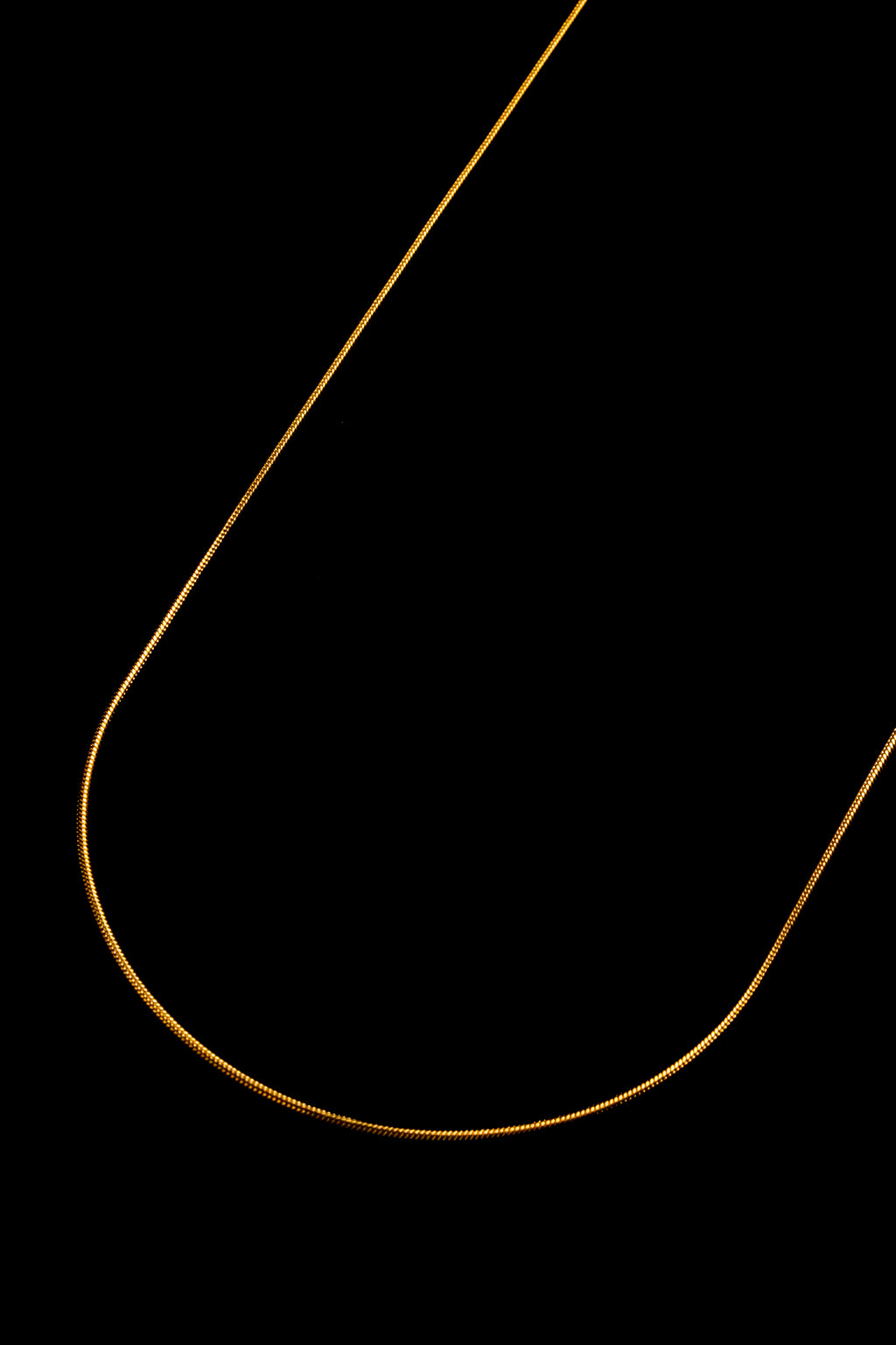 Cadena Dorada Snake