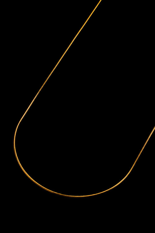 Cadena Dorada Snake