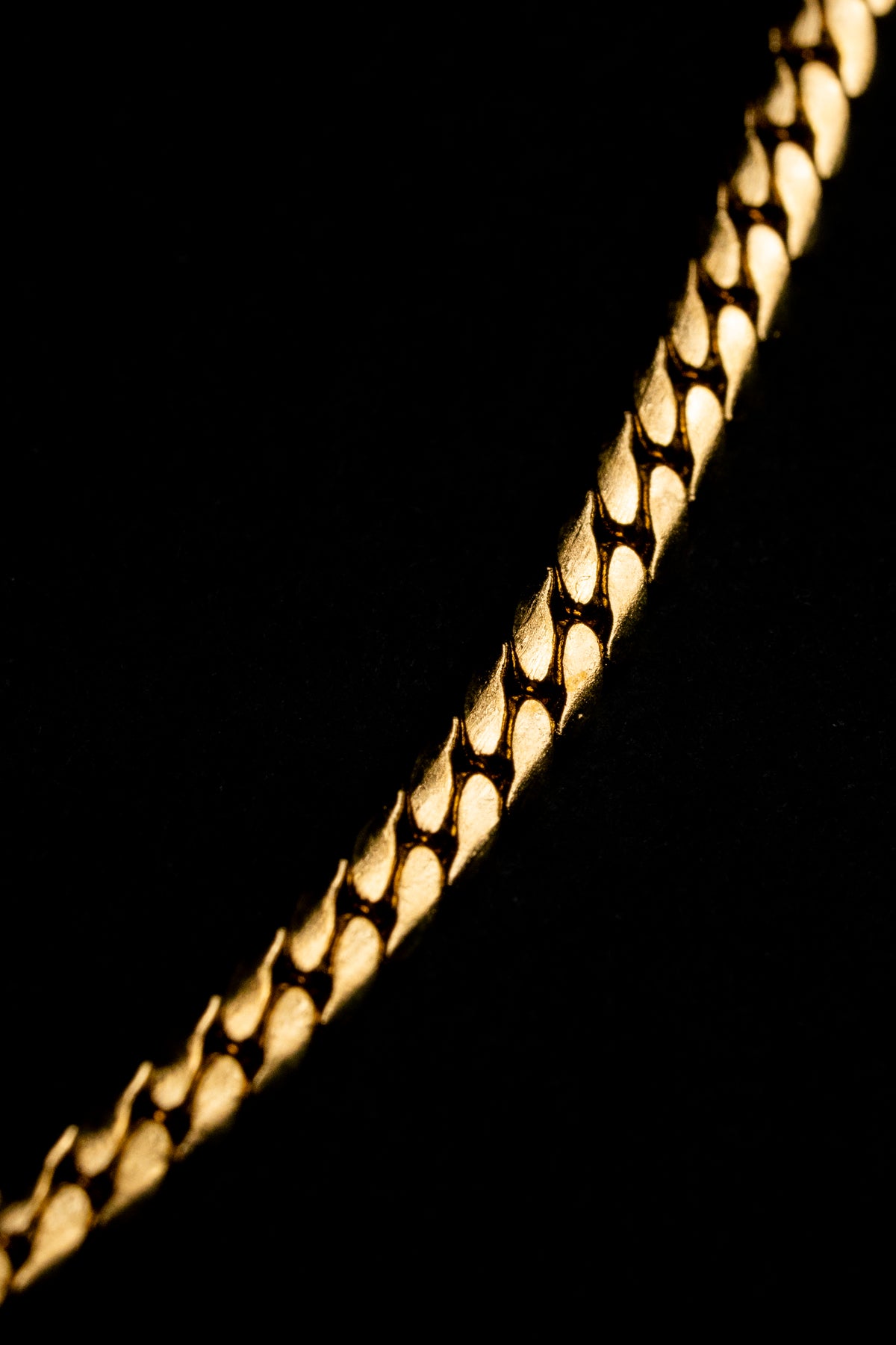 Cadena Dorada Lomo de Corvina