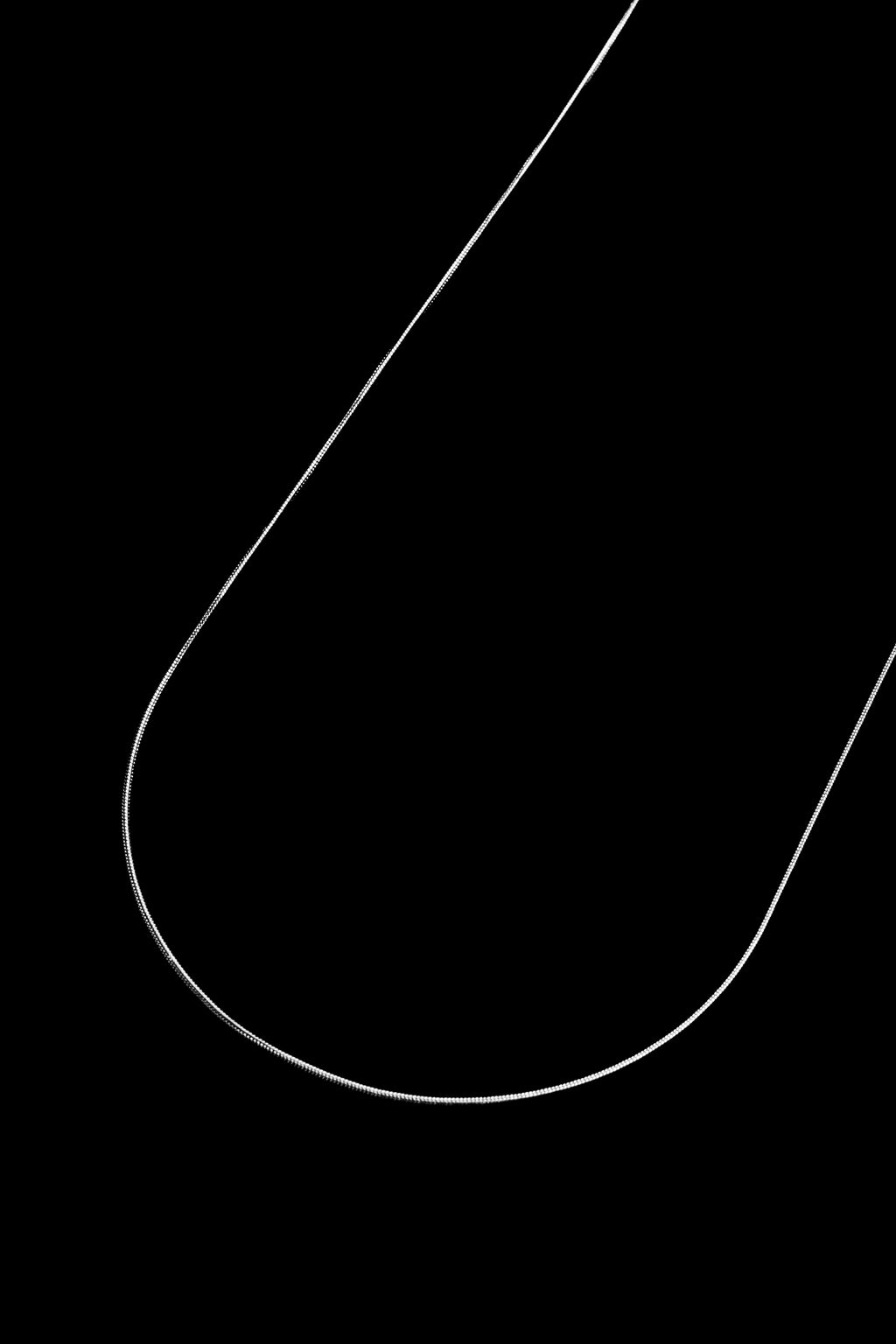 Cadena Plateada Snake