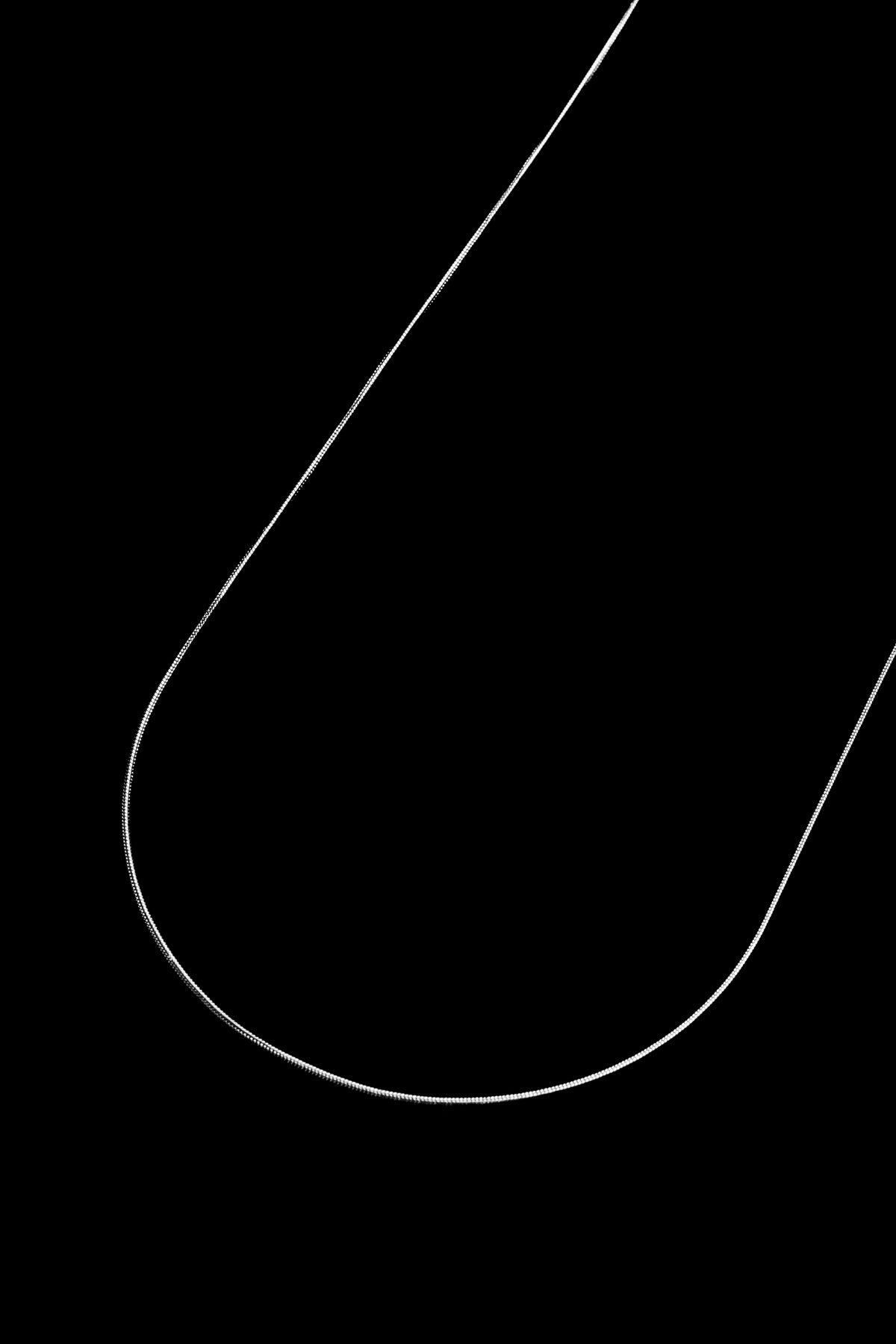 Cadena Plateada Snake